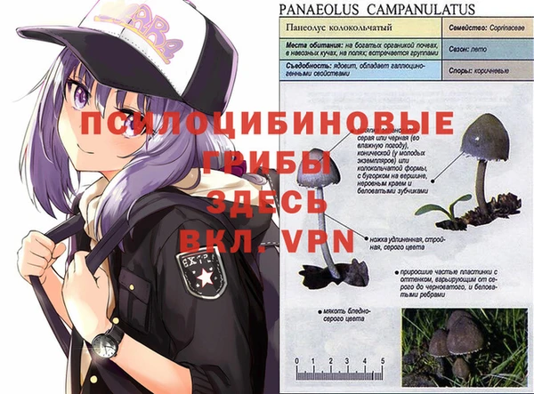 дживик Алексеевка