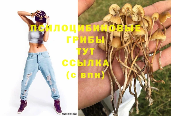 амфетамин Алзамай